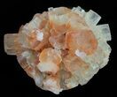 Twinned Aragonite Clusters Wholesale Lot - Pieces #61803-2